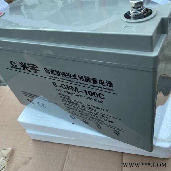 光宇蓄电池12V100AH船舶 太阳能 光伏系统6-GFM-100直流屏UPS电源