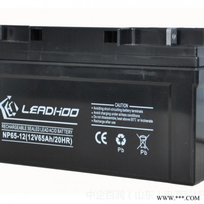 LEADHOO蓄电池 NP24-12 利虎蓄电池 12V24Ah免维护蓄电池 太阳能蓄电池