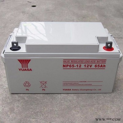 12V6 H YUASA汤浅蓄电池 12V6 H直流屏蓄电池 ups蓄电池 NP65-12太阳能蓄电池UPS电源蓄电池