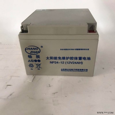 12v24ah 太阳能蓄电池 太阳能发电 ups电源设备 后备电源 机房建设