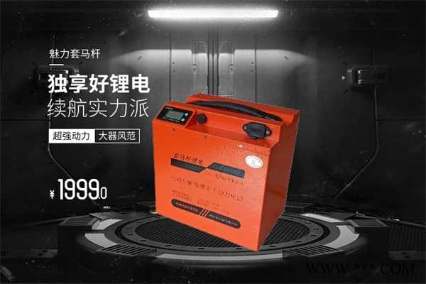 低速锂电池组维修-升起(在线咨询)-天津低速锂电池组