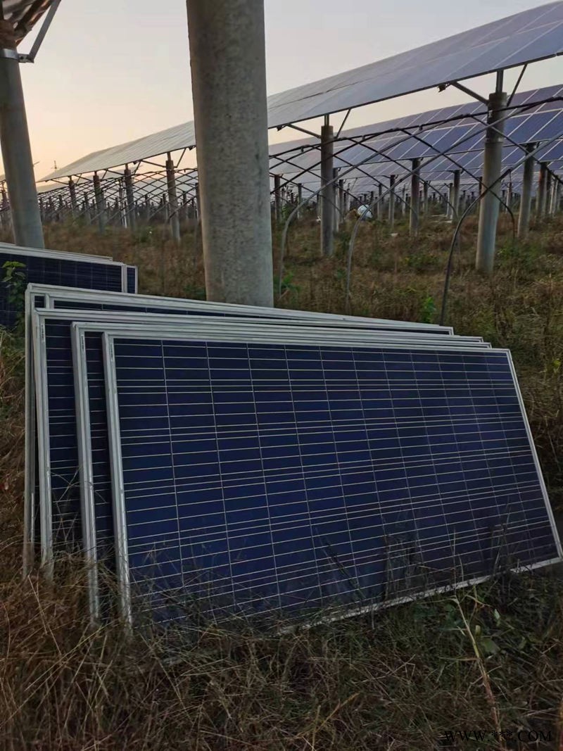 振鑫焱物资回收-沈阳测试不良太阳能板电池板