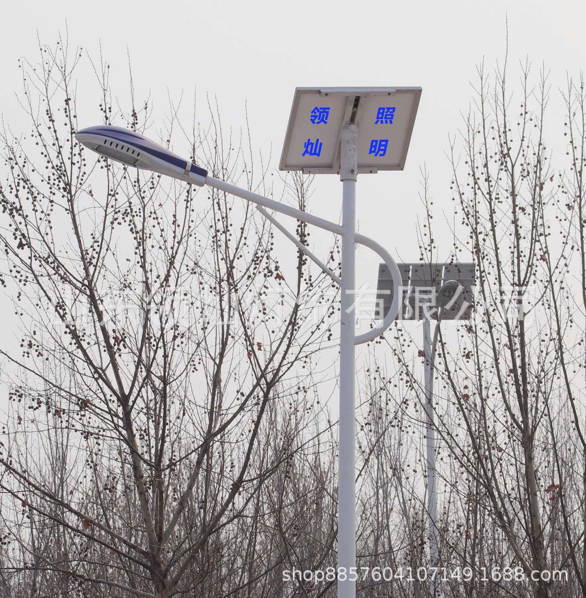 太阳能路灯厂家供应6米太阳能感应灯 户外新款LED太阳能庭院路灯示例图2