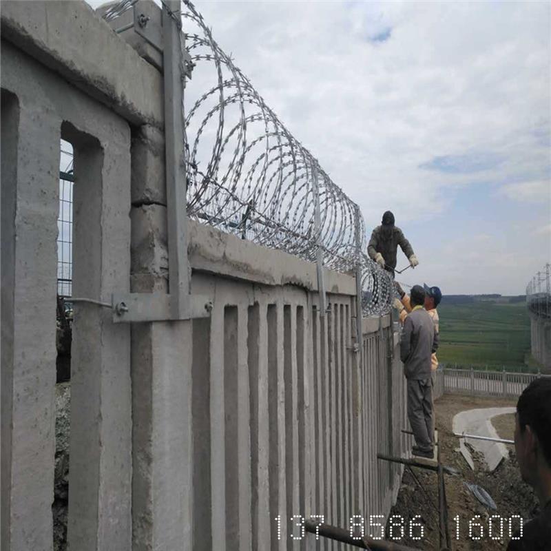 94007345.jpg