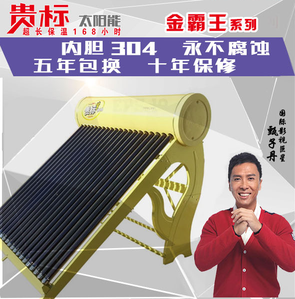 贵标金霸王2.png
