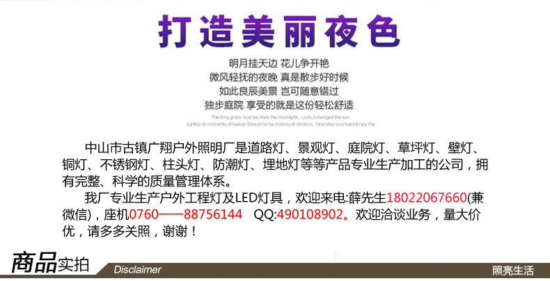 厂家批发 不锈钢草坪灯 铜草坪灯 太阳能草坪灯 led草坪灯示例图2