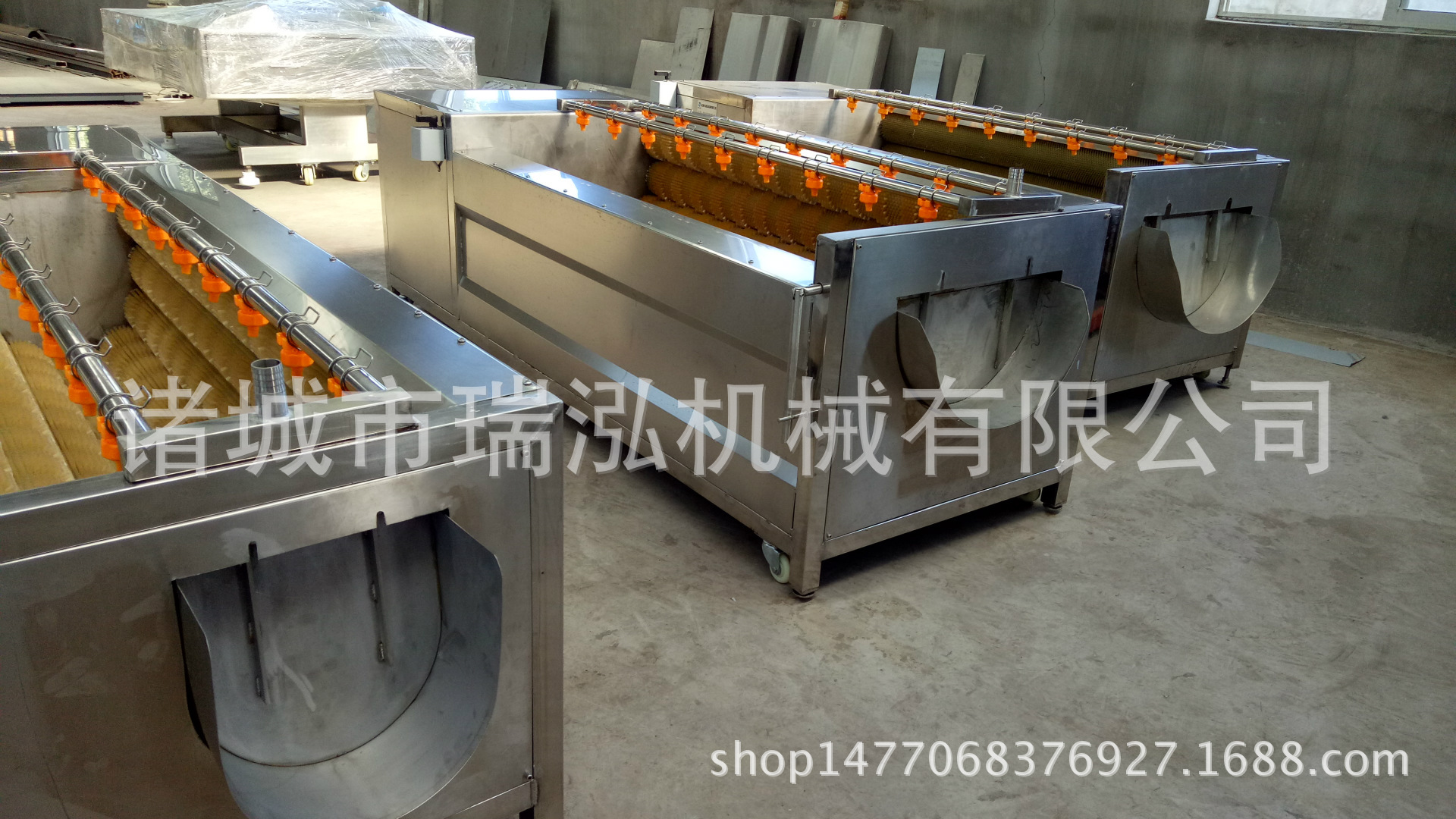 加工定制猪蹄清洗机 芥菜头毛辊清洗机 连续式大型猪脚清洗设备示例图12