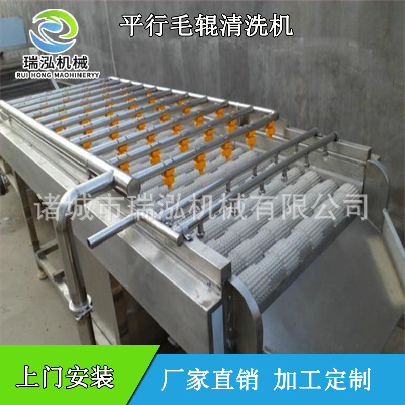 加工定制猪蹄清洗机 芥菜头毛辊清洗机 连续式大型猪脚清洗设备示例图13