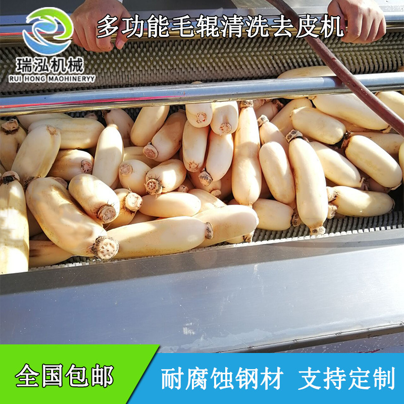 加工定制猪蹄清洗机 芥菜头毛辊清洗机 连续式大型猪脚清洗设备示例图11
