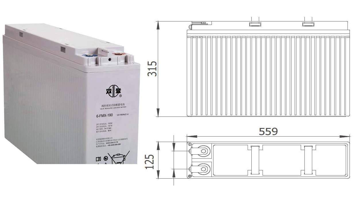 双登蓄电池6-FMX-19012V190Ah 狭长电池 ups eps应急电源前置端子电池 现货批发示例图2